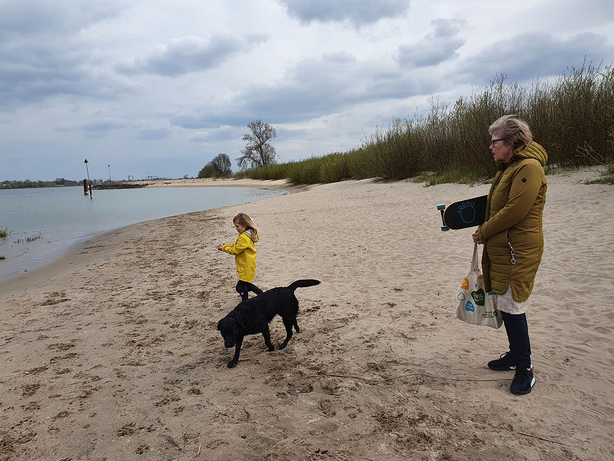 Bang-voor-honden-op-het-strand